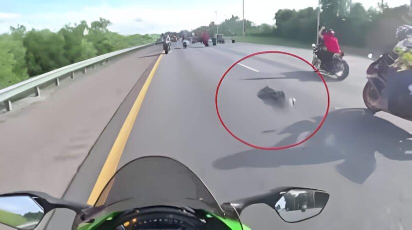 Man Flies Off Motorcycle After Hitting Alligator on Highway: ‘It Happened So Quick’ Image for Man Flies Off Motorcycle After Hitting Alligator on Highway: ‘It Happened So Quick’ post