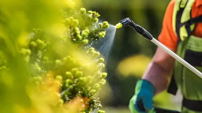 Image for Roundup Use May Be Tied to Lymphoma and Leukemia – See If You Can Join the Lawsuit post