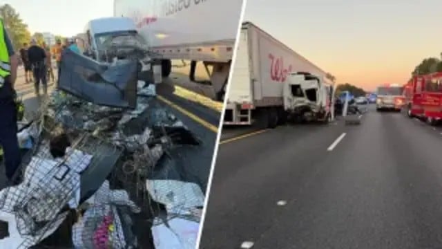 Rescue-Cats-Bound-for-Vermont-Shelter-Involved-in-Georgia-Fatal-Crash