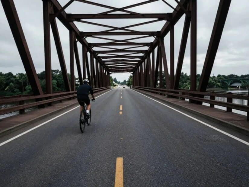 Image for Fatal Hit-and-Run on Ashley River Bridge Claims Bicyclist’s Life post